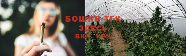 прущие крисы Козельск