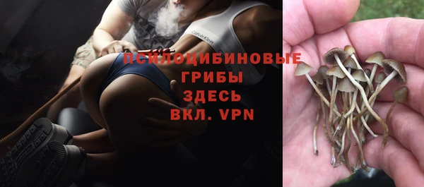 прущие крисы Козельск
