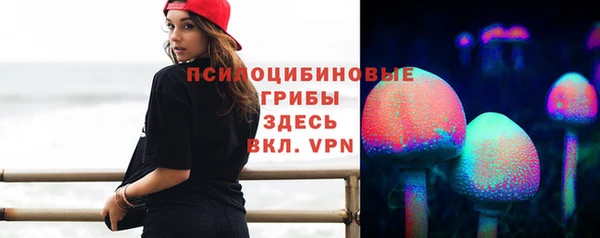 синтетический гашиш Козловка