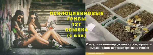 синтетический гашиш Козловка