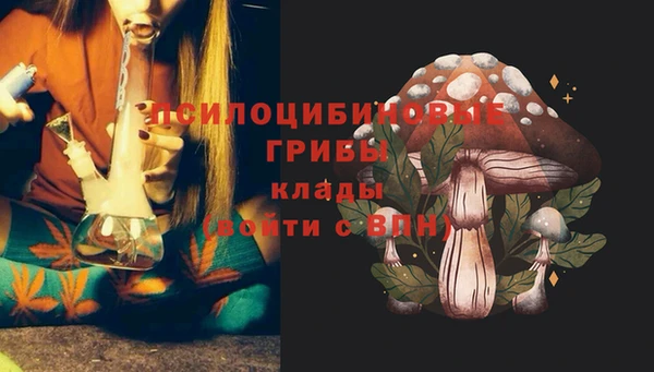прущие крисы Козельск