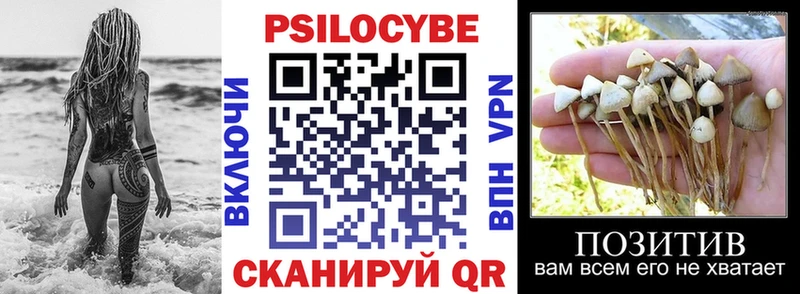 Псилоцибиновые грибы прущие грибы  Купить где  Костомукша 